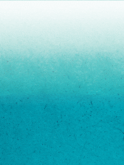 vize sag bilesen reklam gifi